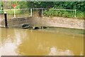 SJ5758 : Bunbury Lock Spillway by Pierre Terre