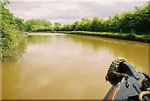 SJ5858 : Shropshire Union Canal near Calveley by Pierre Terre