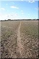 Footpath from Sandford lock to Radley