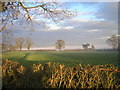 Fields & trees near Acton Bridge