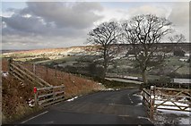 NZ6804 : Cattle grid in Danby Dale by Colin Grice