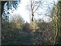 Footpath to Hockley Wood