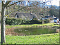 Village pond Tollard Royal Dorset