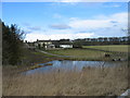 The Byerley Stud, near Stamfordham