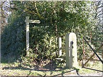 SJ8384 : Stile to Styal by Keith Williamson