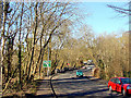 Looking along Dingle Road