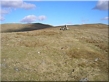SD6583 : Small cairn by John Illingworth