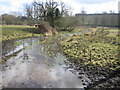 River Chess, near Blackwell Farm