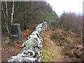 Doddington trig