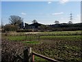 Muddy field and farm