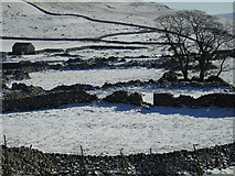 SD9067 : Dry stone walls near Middle House Farm by Richard Swales