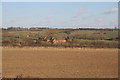 Farmland near Sileby