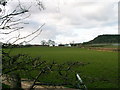 Farmland with communication dishes