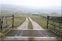 NY8314 : Cattle Grid and Track to Cragg House, Stainmore by Bob Jenkins