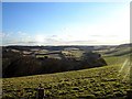 View from Yaugher Woods