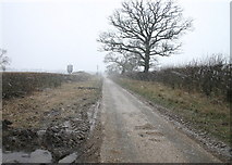 SE4772 : Lane to Low Wood in Snowstorm by Bob Jenkins