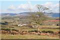 Brompton Ralph: Pitsford Hill from the south west