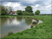 TM1890 : Wacton Common Pond by Phil Davies