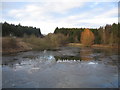 Catchment pond by the A36 Warminster By-pass