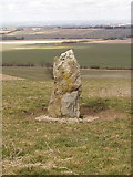 SU1576 : Memorial Stone on Burderop Down, view to Swindon by David Hawgood