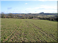 View SSE from above Lopen, Somerset