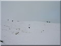 Sledging on the Broad Hill