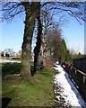 Footpath alongside Field Top Road, Rastrick (SE137219)