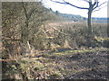 Footbridge by Weethley Wood