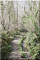 Bridleway near Malborough