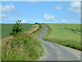 The country lane  between Skewsby and Whenby.