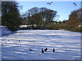 Walker Dam frozen over