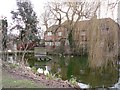 Weedon Village Pond