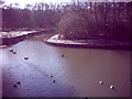 Meriden Park lake