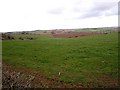 SO5418 : Farmland near Trewen by Stuart Wilding
