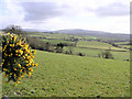 Stonyfalls Townland