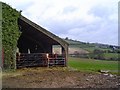 South Devon cattle shed