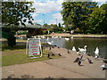 The Canal at Newbury