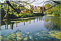 Plaistow Village Pond.