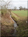 Stream by Blanche Lane, Ridge