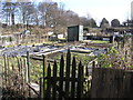 Hummersknott Allotments . off  Cemetery Lane