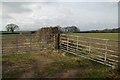 Two gates, Tingtong, Woodbury Common