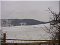 Wintry Farmland