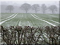 Snowy fields at Ingfield Farm