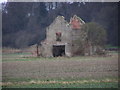 Remains of Folly : Baydale Farm