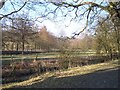 Mill Stream and Pond, Damsells Mill