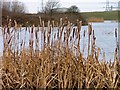 Haverton Hill Lake