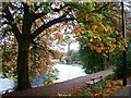 River Wansbeck at Morpeth from Carlisle Park