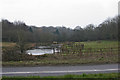 Pond near Cowesfield Green