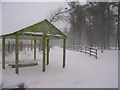 Shelter at Hazlehead Woods