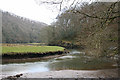 Pelynt: West Looe River